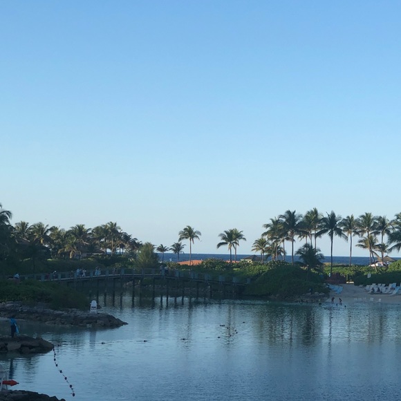 Meet your Posher, Emma - Picture 1 of 1